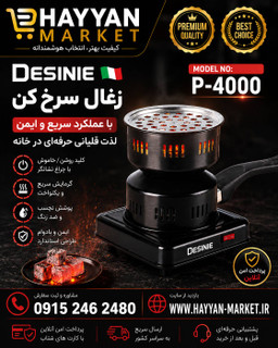 زغال سرخ کن دسینی مدل P-4000
